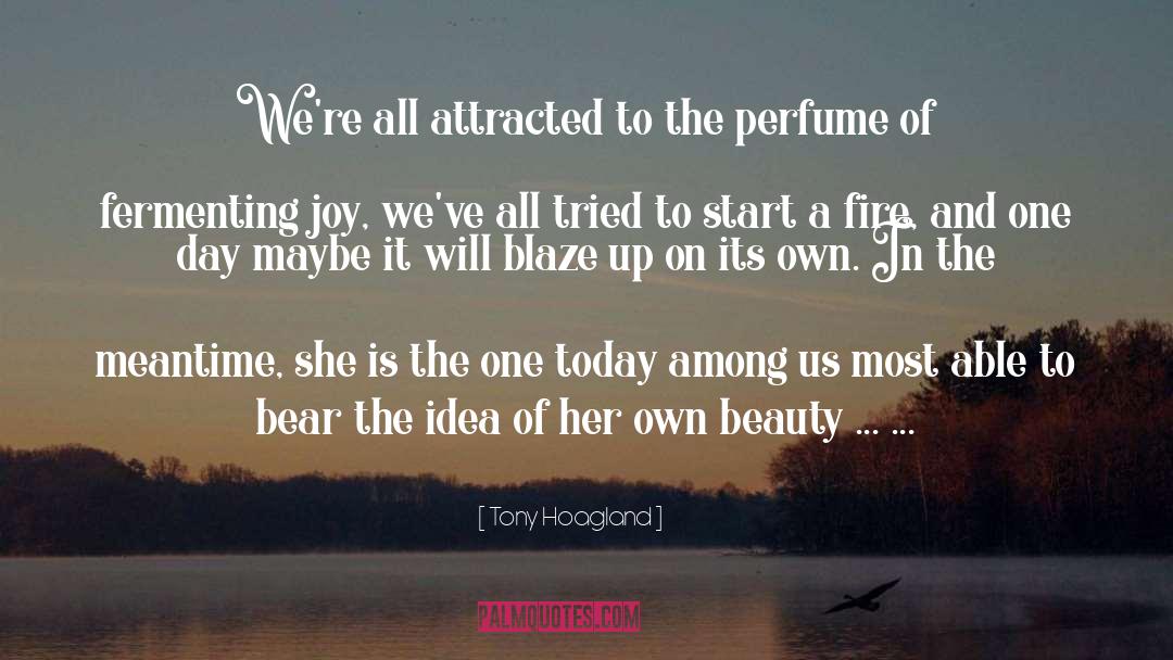 Tony Hoagland Quotes: We're all attracted to the