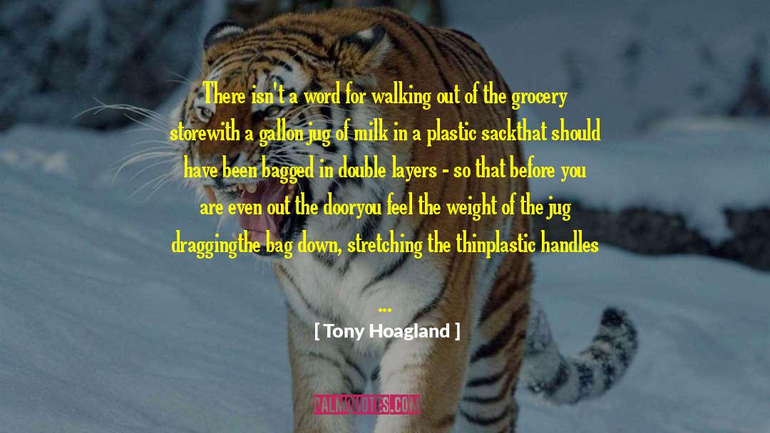 Tony Hoagland Quotes: There isn't a word for