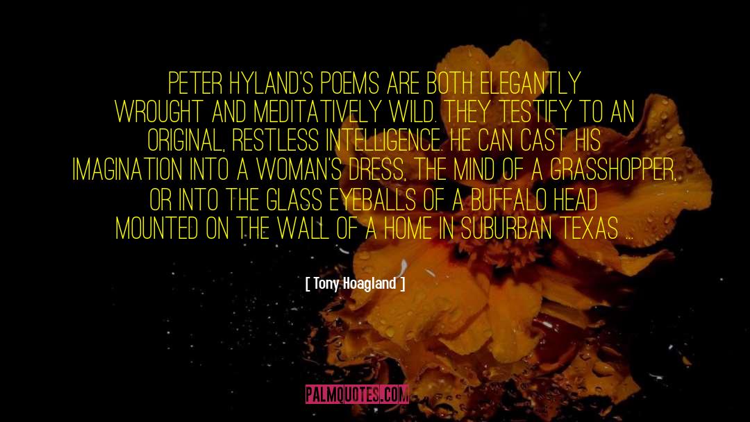 Tony Hoagland Quotes: Peter Hyland's poems are both