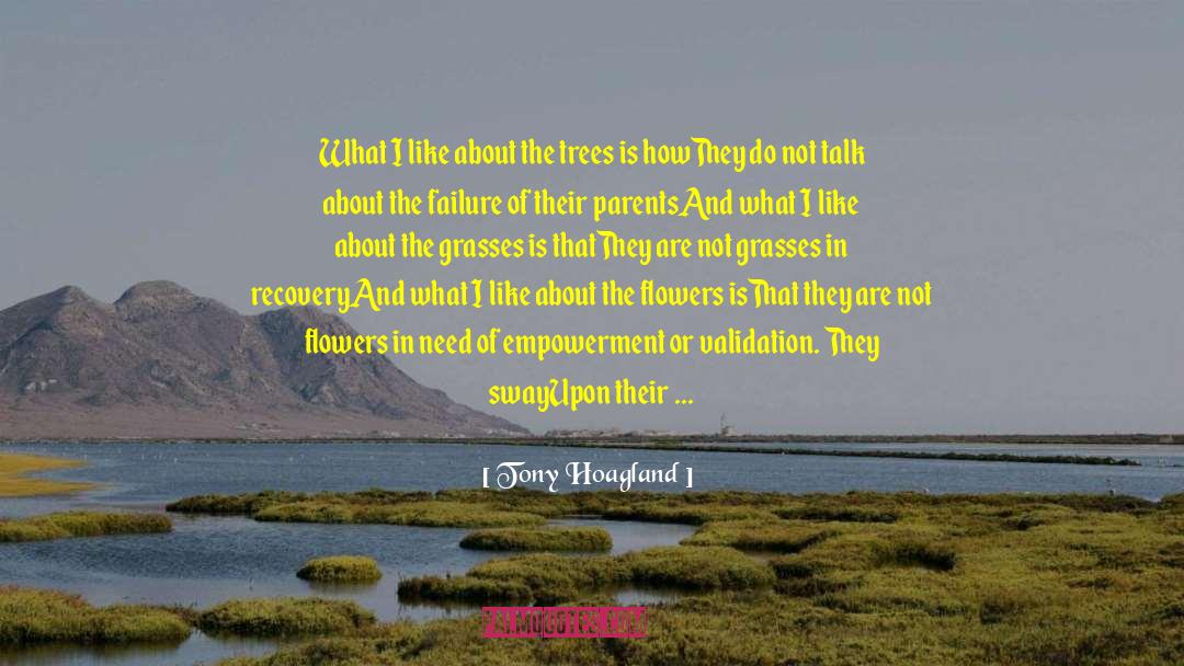 Tony Hoagland Quotes: What I like about the