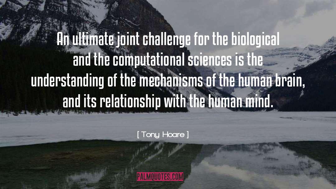 Tony Hoare Quotes: An ultimate joint challenge for