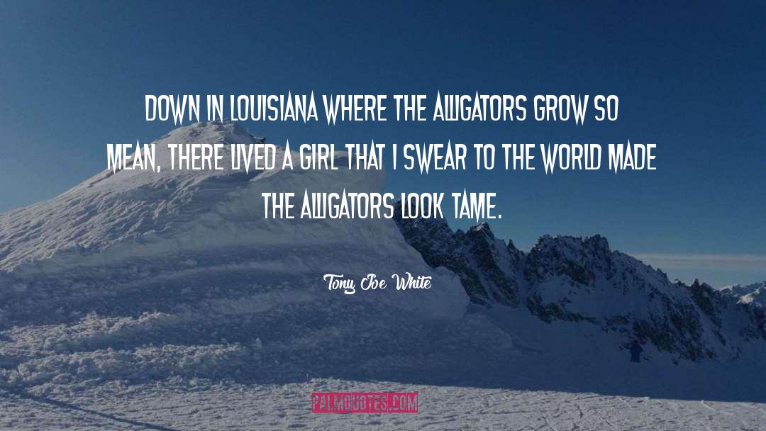 Tony Joe White Quotes: Down in Louisiana where the