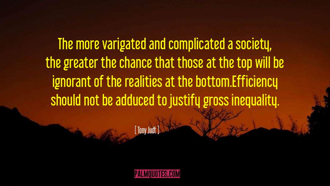 Tony Judt Quotes: The more varigated and complicated