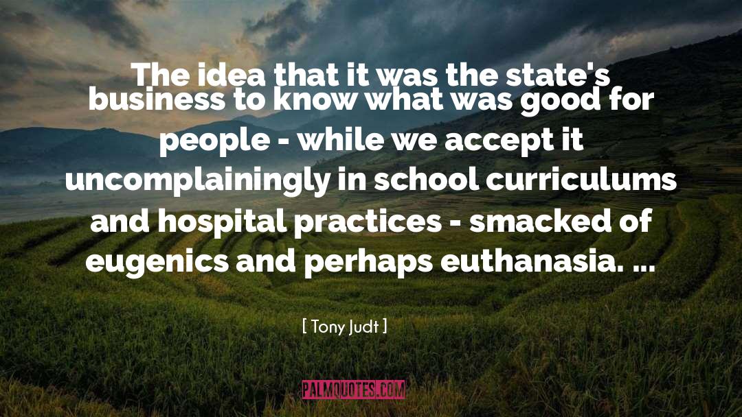 Tony Judt Quotes: The idea that it was