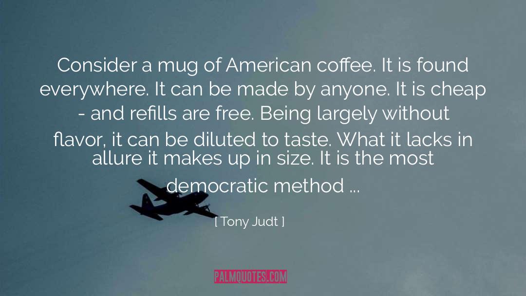 Tony Judt Quotes: Consider a mug of American