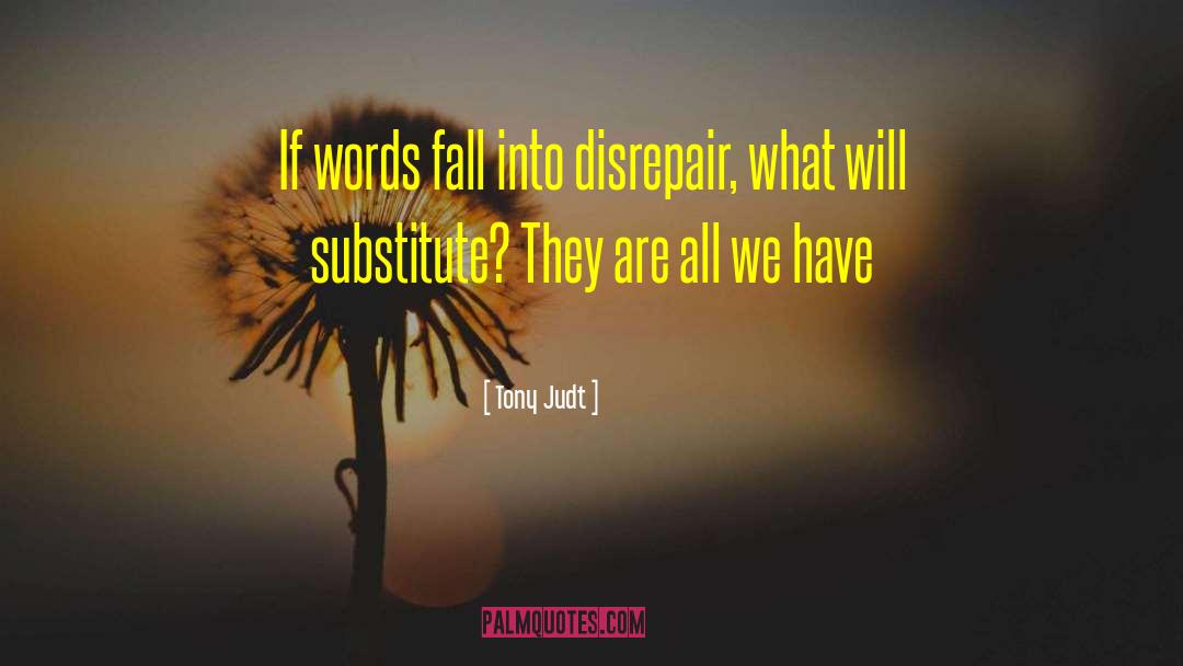 Tony Judt Quotes: If words fall into disrepair,