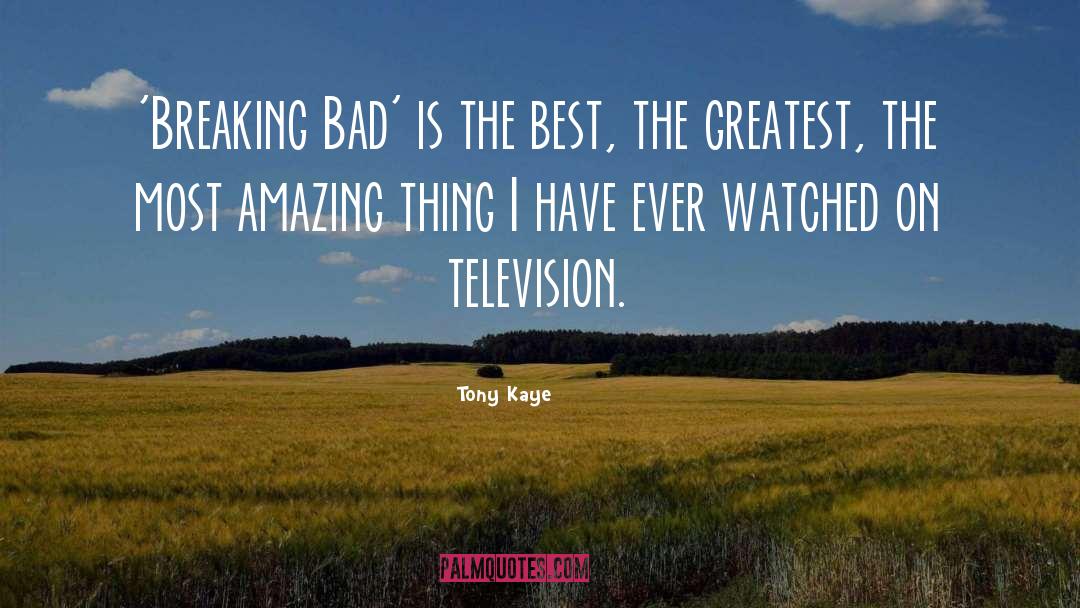 Tony Kaye Quotes: 'Breaking Bad' is the best,