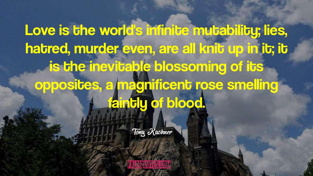 Tony Kushner Quotes: Love is the world's infinite