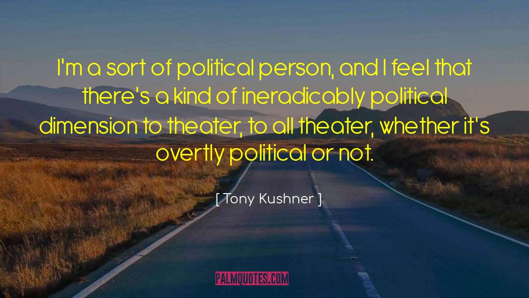 Tony Kushner Quotes: I'm a sort of political