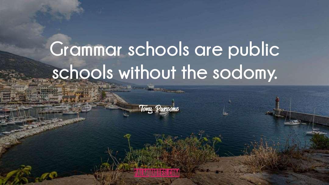 Tony Parsons Quotes: Grammar schools are public schools