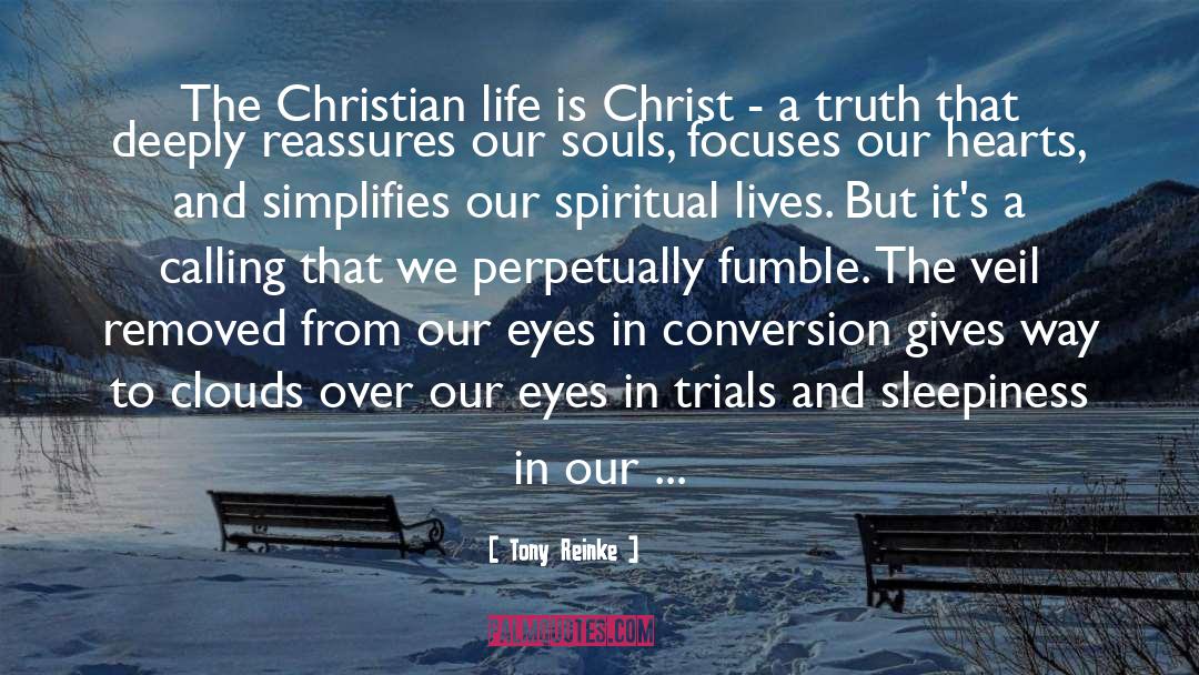 Tony Reinke Quotes: The Christian life is Christ