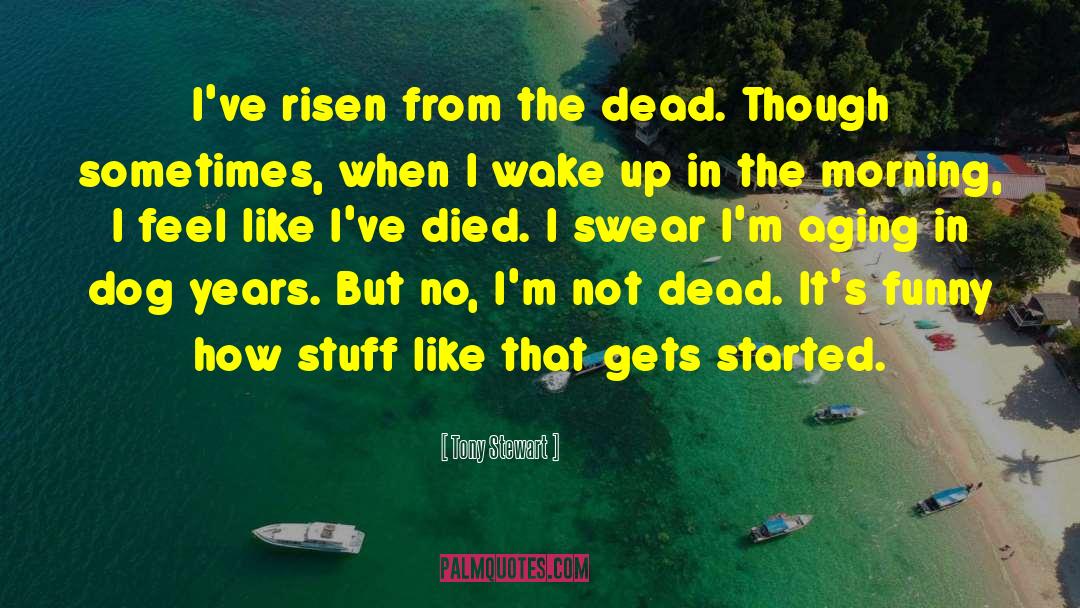 Tony Stewart Quotes: I've risen from the dead.