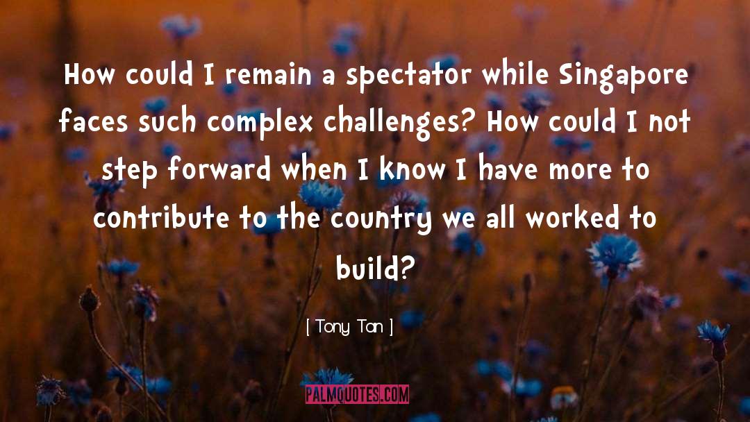 Tony Tan Quotes: How could I remain a