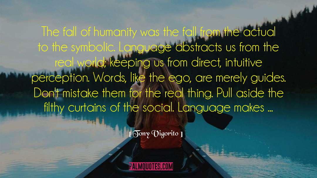 Tony Vigorito Quotes: The fall of humanity was
