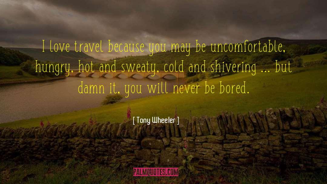 Tony Wheeler Quotes: I love travel because you