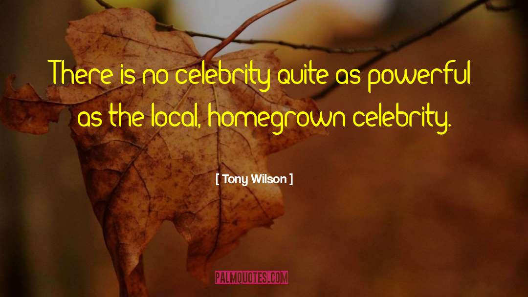 Tony Wilson Quotes: There is no celebrity quite