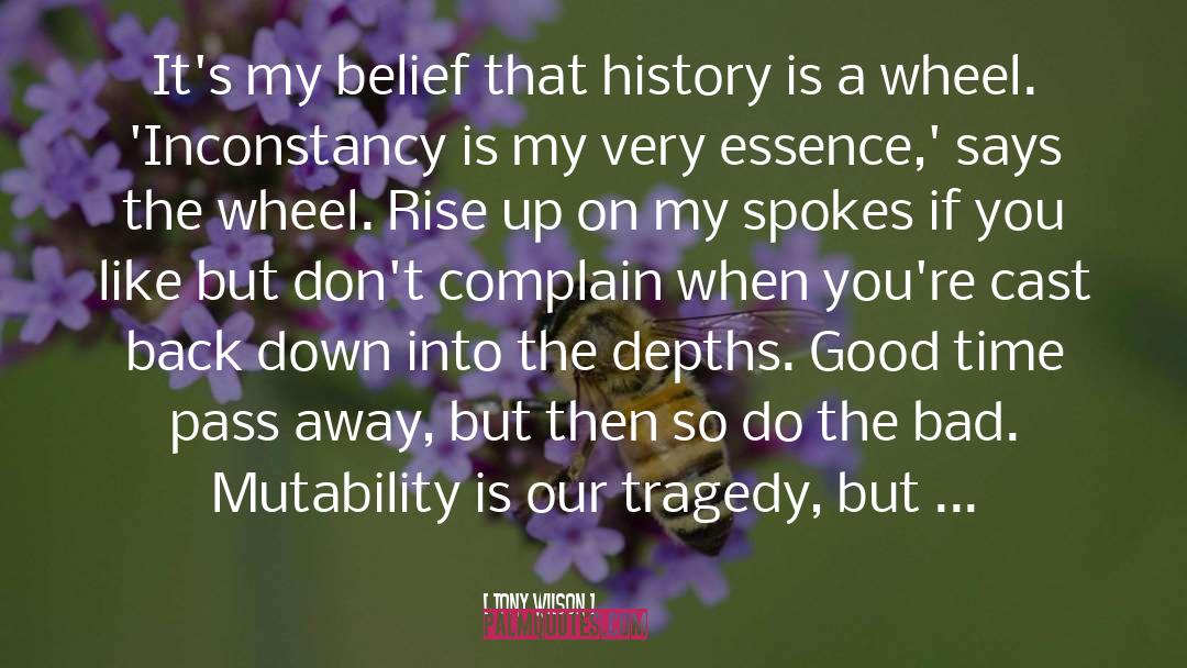 Tony Wilson Quotes: It's my belief that history