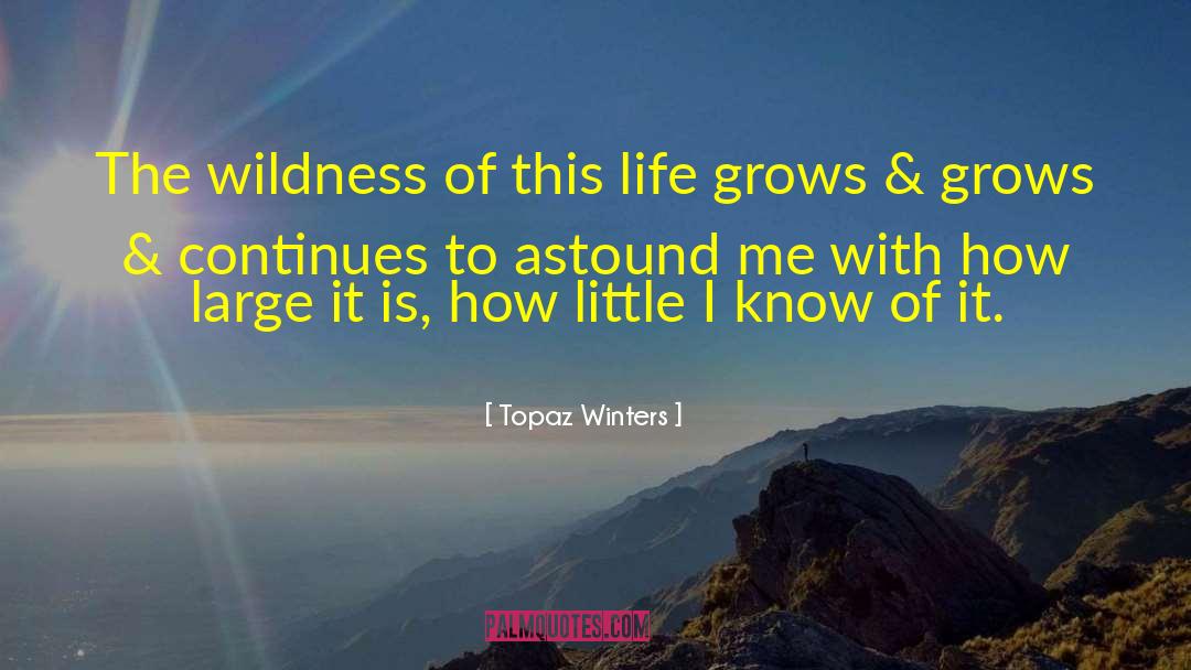 Topaz Winters Quotes: The wildness of this life