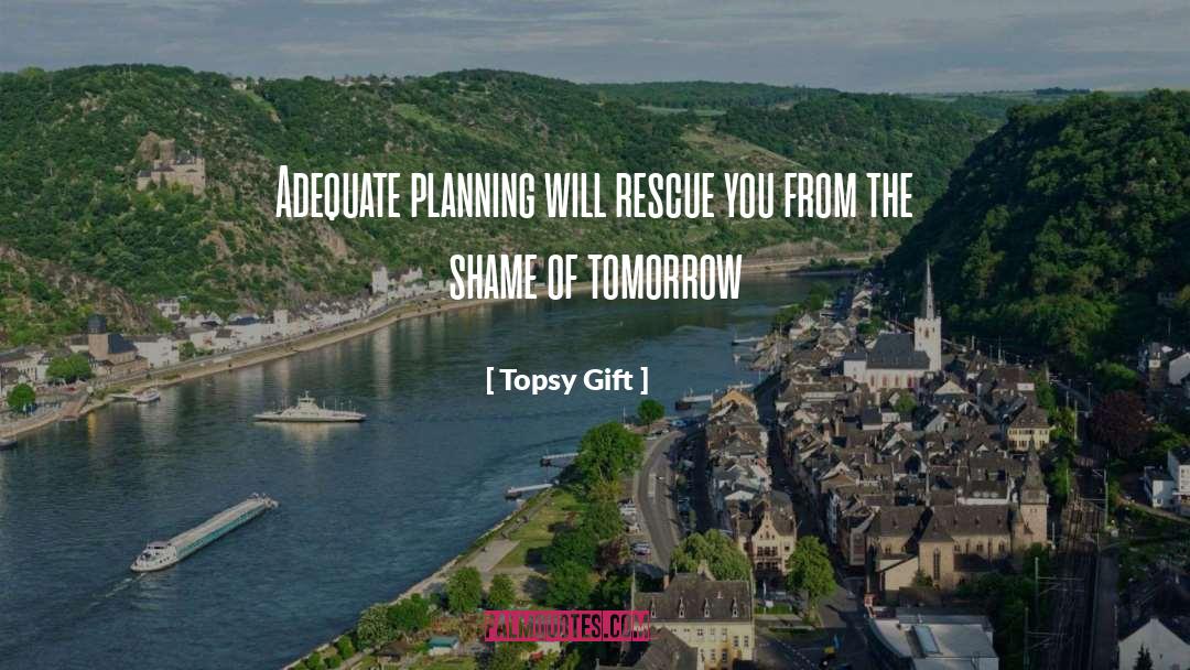 Topsy Gift Quotes: Adequate planning will rescue you