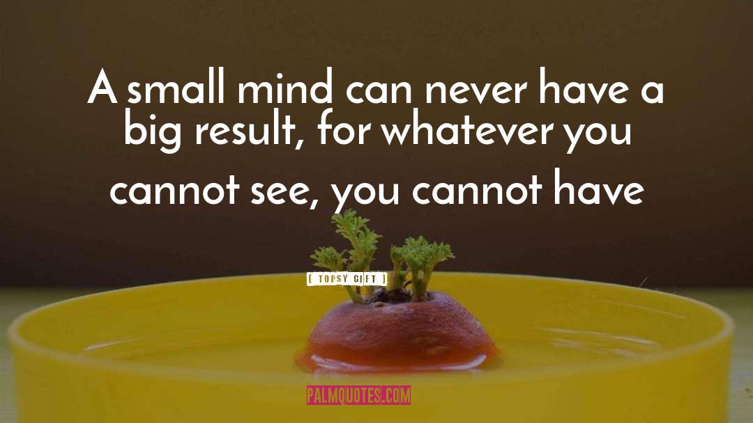 Topsy Gift Quotes: A small mind can never