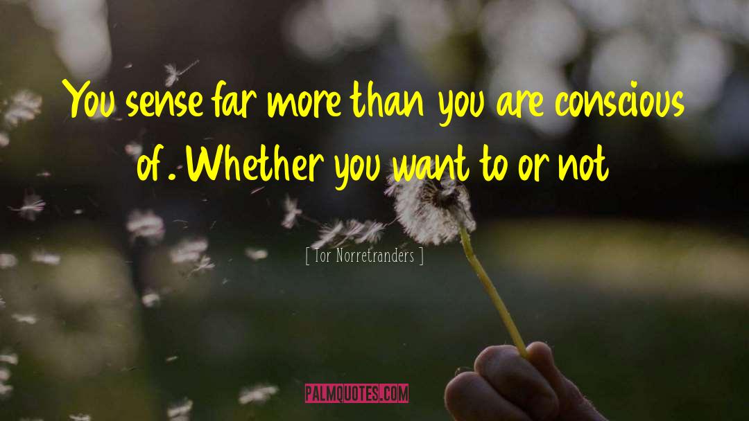 Tor Norretranders Quotes: You sense far more than