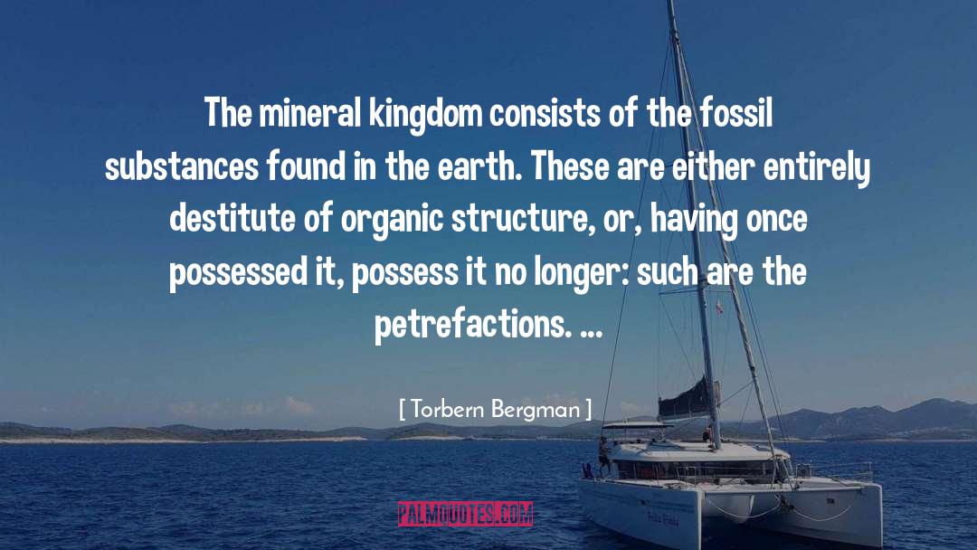 Torbern Bergman Quotes: The mineral kingdom consists of