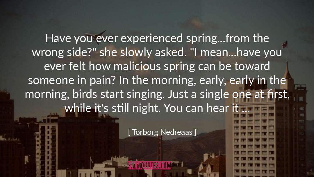 Torborg Nedreaas Quotes: Have you ever experienced spring...from