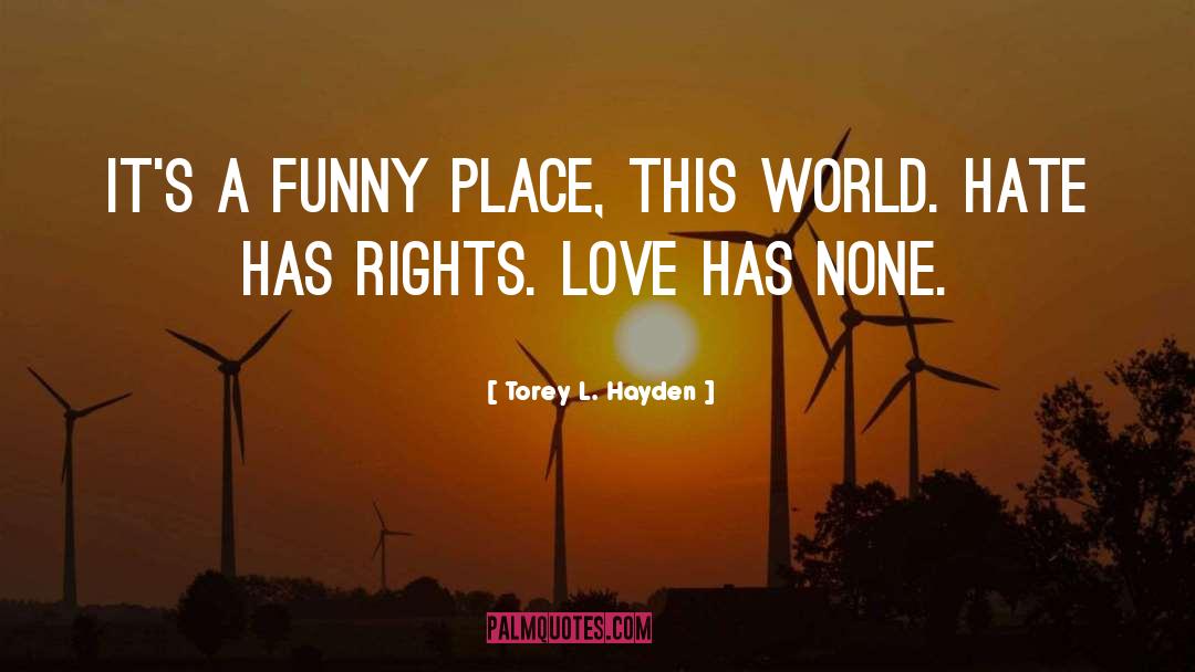 Torey L. Hayden Quotes: It's a funny place, this