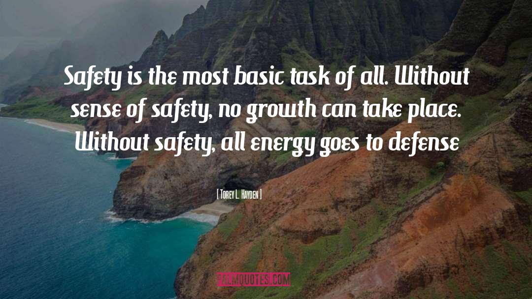 Torey L. Hayden Quotes: Safety is the most basic