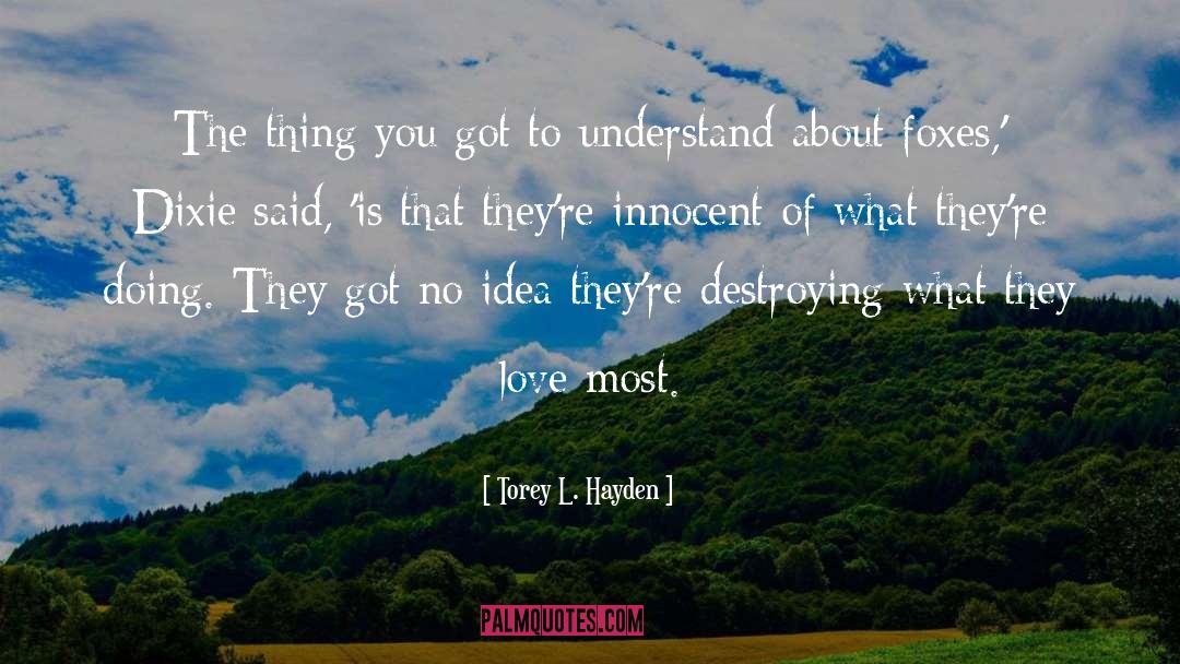 Torey L. Hayden Quotes: The thing you got to