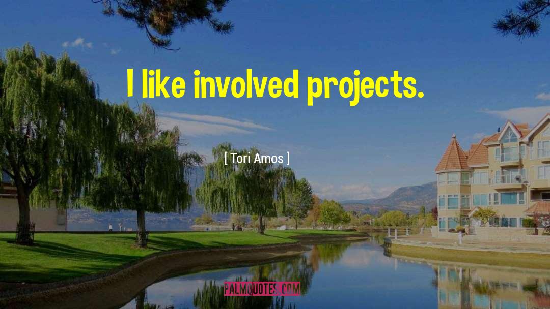 Tori Amos Quotes: I like involved projects.