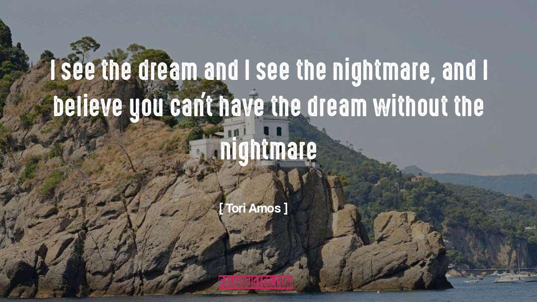 Tori Amos Quotes: I see the dream and