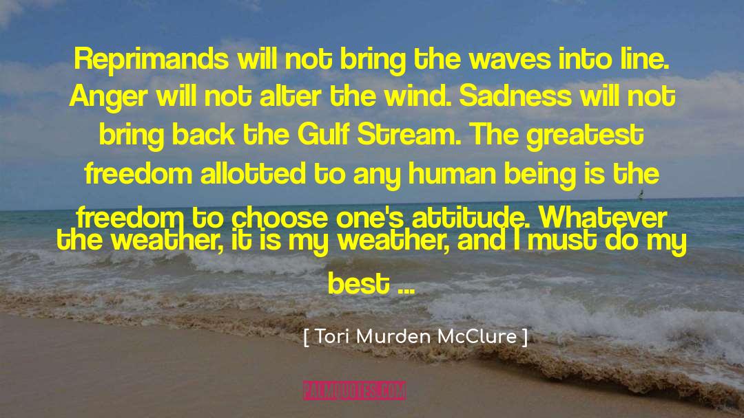 Tori Murden McClure Quotes: Reprimands will not bring the