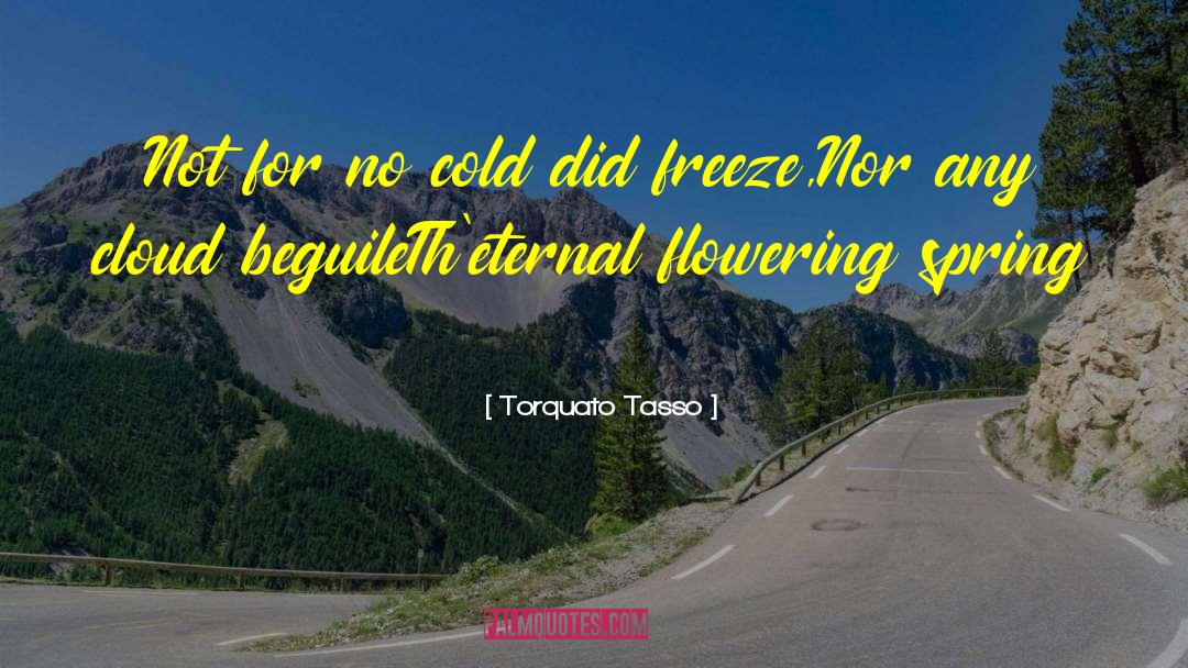 Torquato Tasso Quotes: Not for no cold did