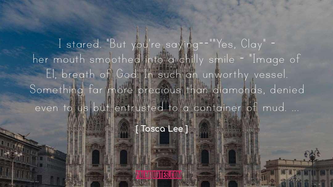 Tosca Lee Quotes: I stared. 