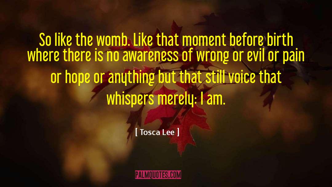 Tosca Lee Quotes: So like the womb. Like