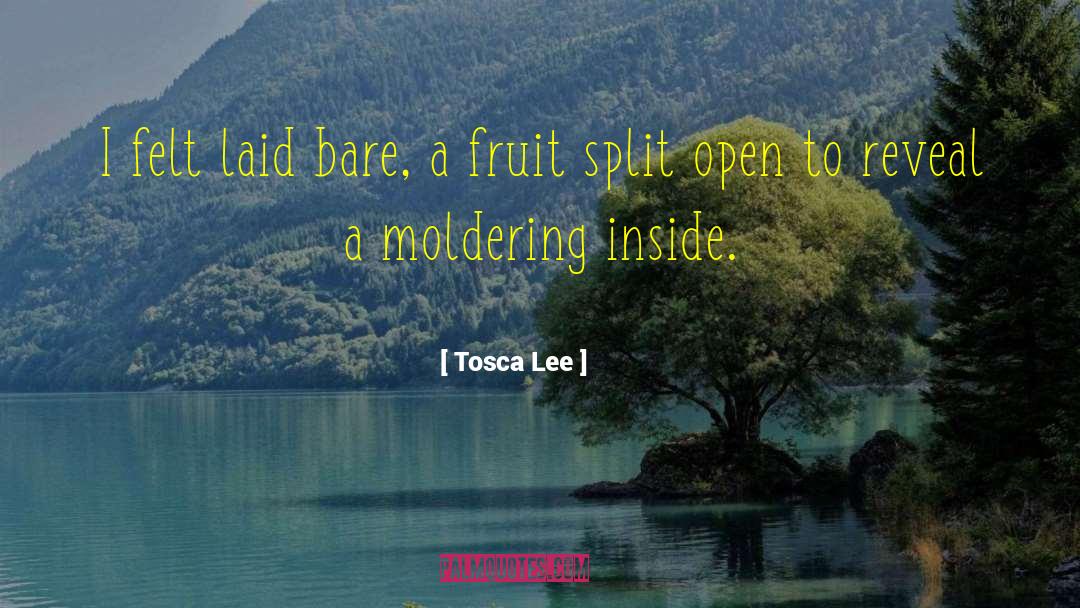 Tosca Lee Quotes: I felt laid bare, a