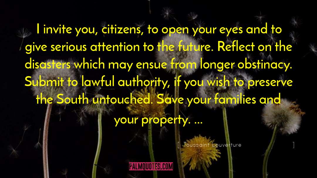 Toussaint Louverture Quotes: I invite you, citizens, to