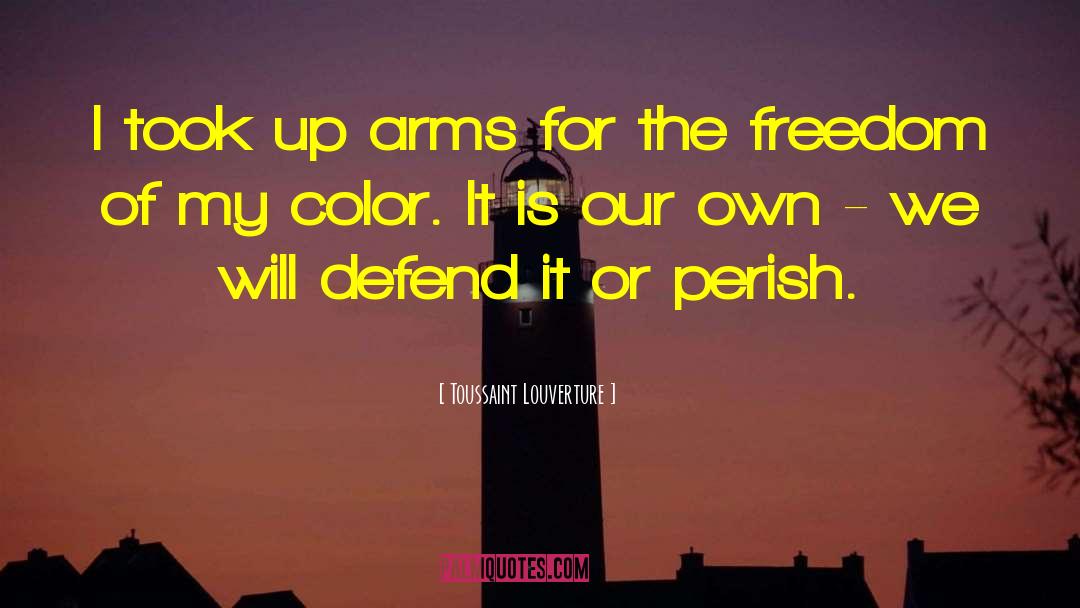 Toussaint Louverture Quotes: I took up arms for