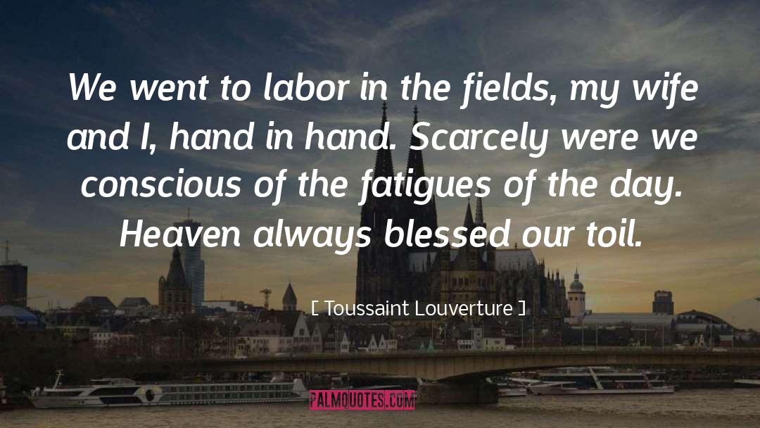 Toussaint Louverture Quotes: We went to labor in