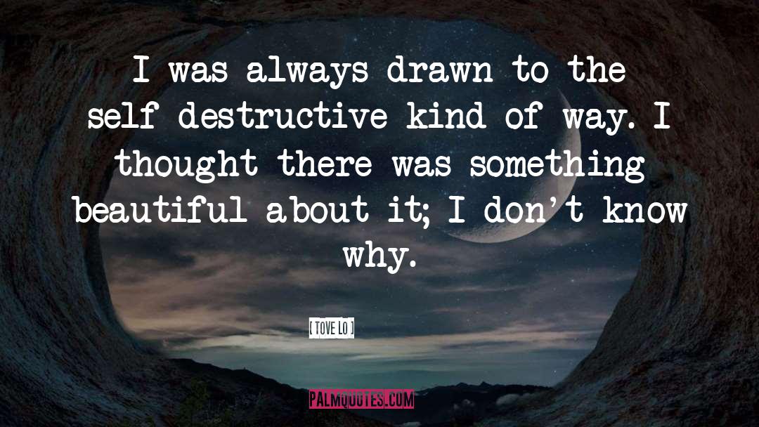 Tove Lo Quotes: I was always drawn to