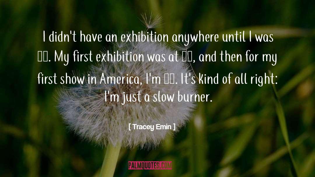 Tracey Emin Quotes: I didn't have an exhibition