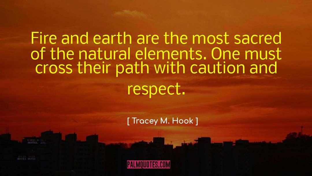 Tracey M. Hook Quotes: Fire and earth are the