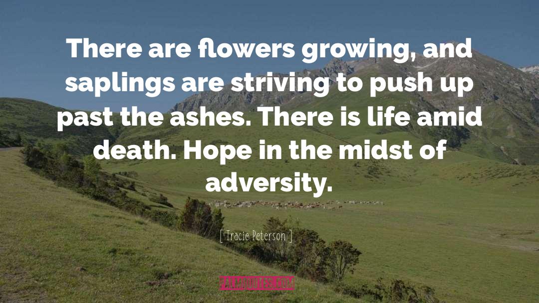 Tracie Peterson Quotes: There are flowers growing, and