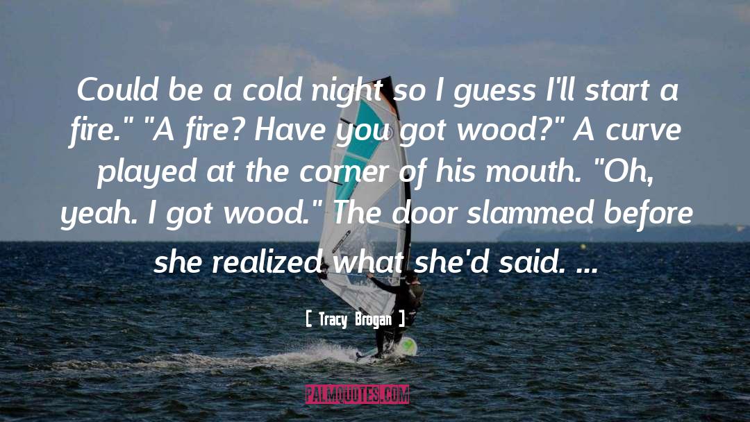 Tracy Brogan Quotes: Could be a cold night