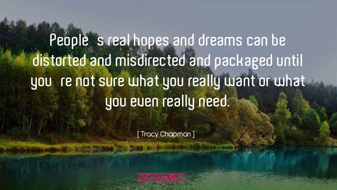 Tracy Chapman Quotes: People's real hopes and dreams