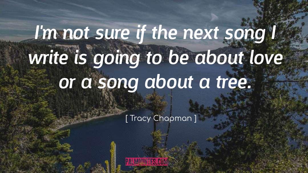 Tracy Chapman Quotes: I'm not sure if the