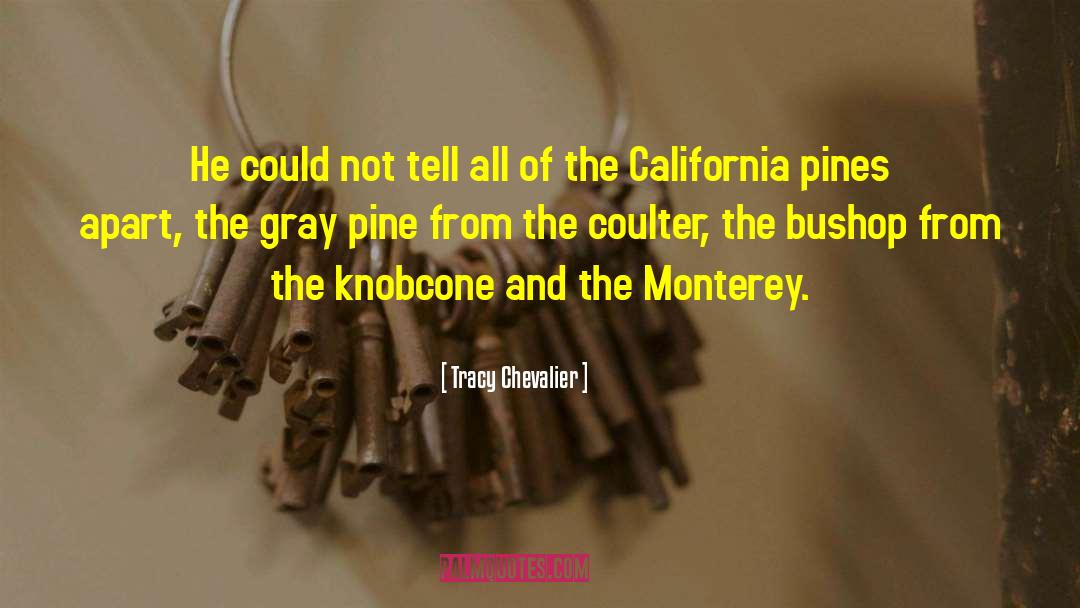 Tracy Chevalier Quotes: He could not tell all