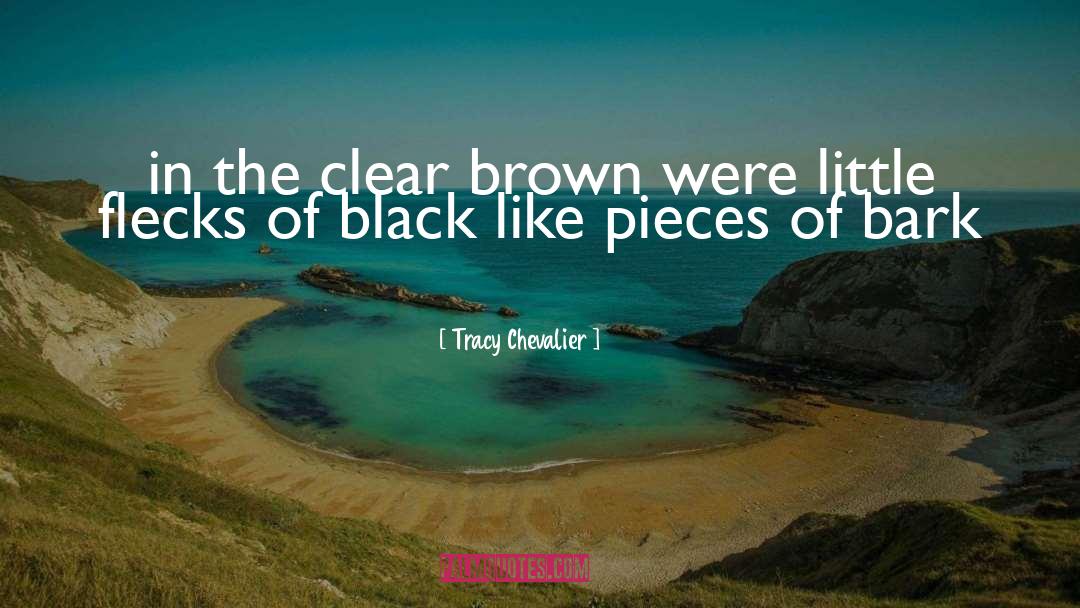 Tracy Chevalier Quotes: in the clear brown were