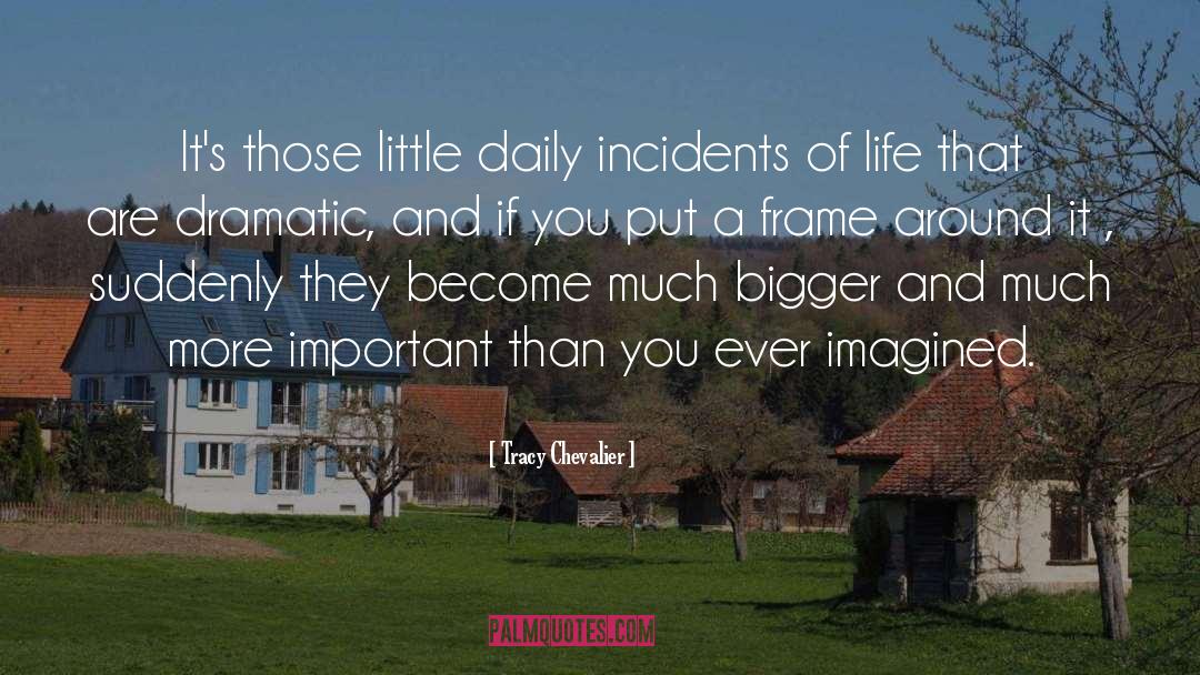 Tracy Chevalier Quotes: It's those little daily incidents